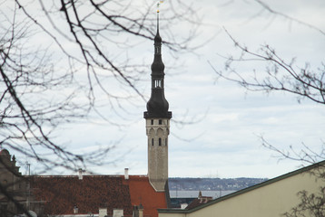 Obraz premium Tall medieval tower of Tallinn city hall.