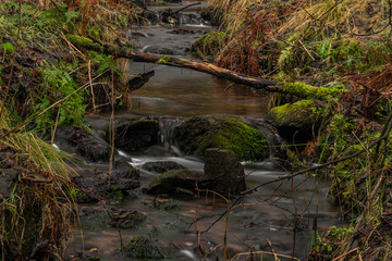 Upper watercourse of Bilina river in Krusne hory mountains in winter day