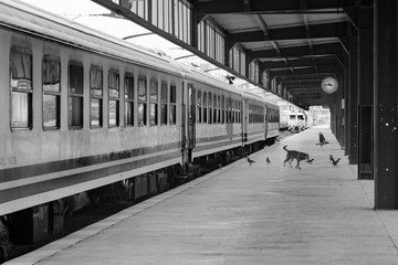 Fototapeta na wymiar train at the station. Without human. End of the world. Covid 19. 
