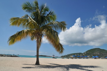 Fototapeta na wymiar relax on the beach,caribbean island