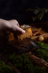 Delicious carrot cake on dark wooden background