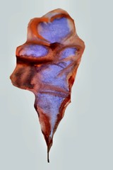 watercolor abstraction