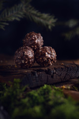 Hazelnut chocolate pralines on dark forest background