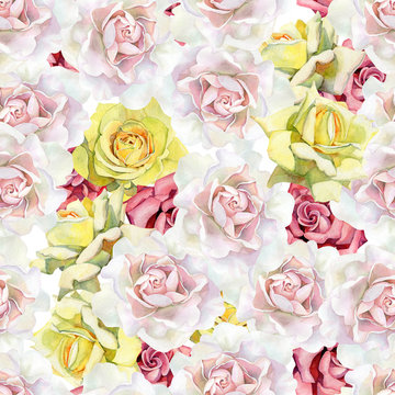 Seamless pattern of watercolor multicolor roses.
