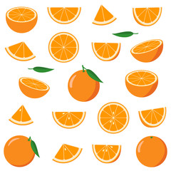 Collection of oranges. Vector illustration.