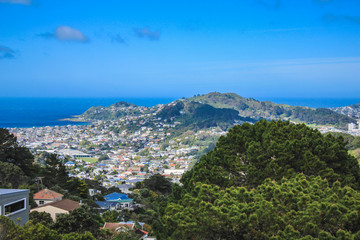 Fototapeta na wymiar View over the capital Wellington from Mount Victoria, North Island, New Zealand