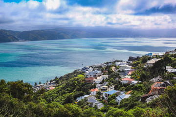 View over the capital Wellington from Mount Victoria, North Island, New Zealand