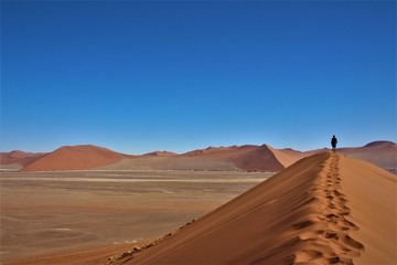 Fototapeta na wymiar Man walking on one of the highest dunes in the world. Dune 45 also known as big daddy in Namib Naufkluft Nationalpark, Sossusvlei, Namibia southern Africa