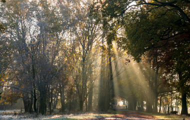 Totengrund L&uuml;neburger Heide