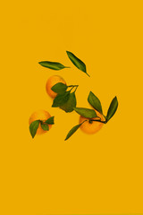 a simple abstract bunch of fresh orange mandarin flat lay with copy space