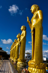 Golden standing tall Buddha Statues in cloudy blue sky background