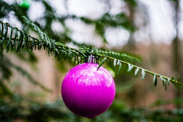 Christmas tree ball on a Christmas tree in the forest with branches and a green look