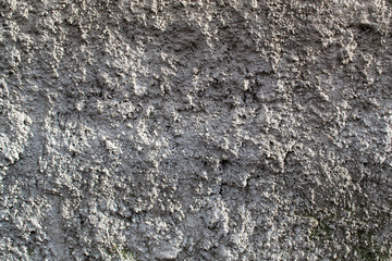 Concrete wall with texture in the sun