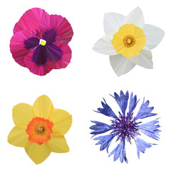 Polygonal daffodil (Narcissus), viola, cornflower (Centaurea cyanus), polygonal set flowers, isolated vector illustration.