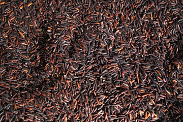Thai black jasmine rice for food texture (Rice berry). Selective focus