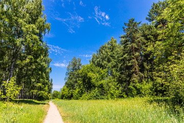 Losiny Ostrov National Park (literally - Elk (Moose) Island), the first national park of Russia. It is located in Moscow and Moscow Oblast