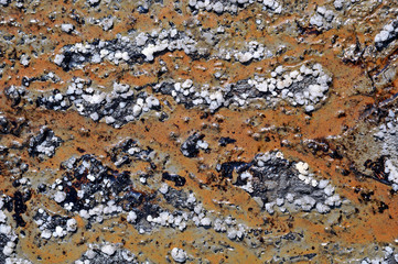 Deposits of ozocerite on the surface of the soil near the old oi