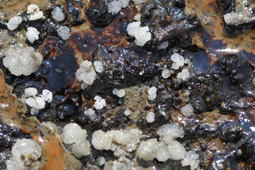 Deposits of ozocerite on the surface of the soil near the old oi