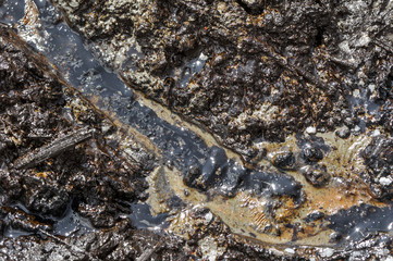 Spills of crude oil on the soil surface - environment pollution.