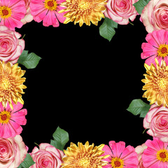 Beautiful floral background of tsiniya, chrysanthemum and rose. Isolated
