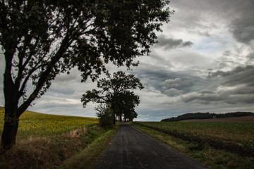 hiking - on the way on a stormy day