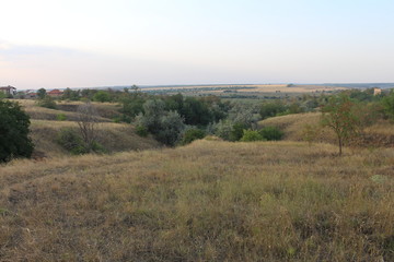 Obraz premium Beautiful wildlife: hills, steppes, trees