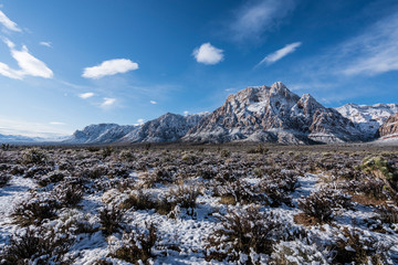 Fototapeta na wymiar Winter desert snow on Mt Wilson at Red Rock Canyon National Conservation Area. A popular natural area 20 miles from Las Vegas, Nevada. 