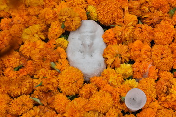 Ofrenda y tradiciones © brenda