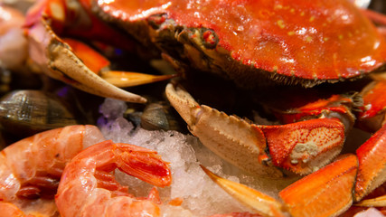 crab, prawns, and clams on ice