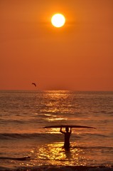 Pelican Sunset Surfer