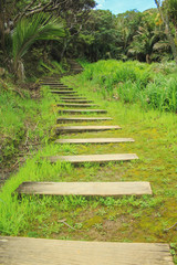 Walkway leading to East Cape Lighthouse, East Cape, North Island, New Zealand