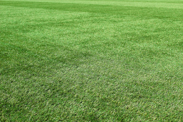 Green artificial grass on the football field. Horizontal view. Background. Texture.