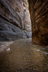 Bright Sunlight Peeks Around Corner of The Narrows