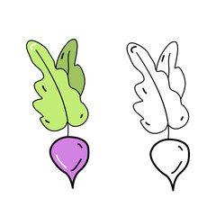 Cute beet pattern in doodle style, healthy food and natural food.