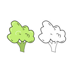 Cute doodle broccoli pattern, healthy food and natural food.