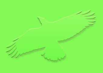 Adler mit Schatten auf Hintergrund