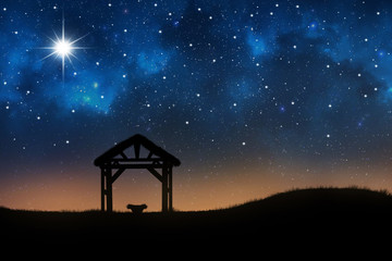 Empty manger under beautiful night sky - obrazy, fototapety, plakaty