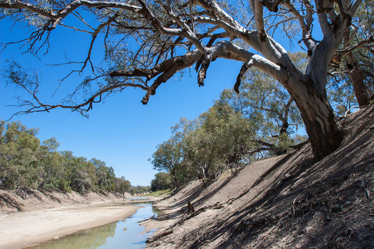 Darling River Outback NSW Australia