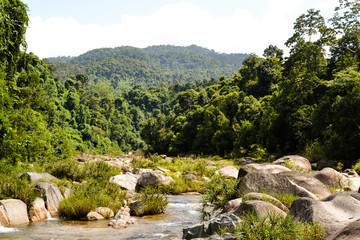 Fototapeta na wymiar Vietnam and jungle stones and water
