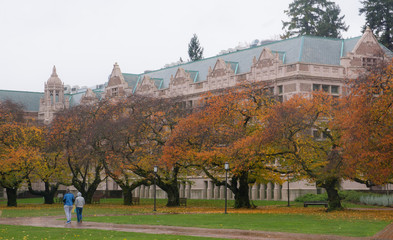 fall foliage on university of washington campus in Seattle