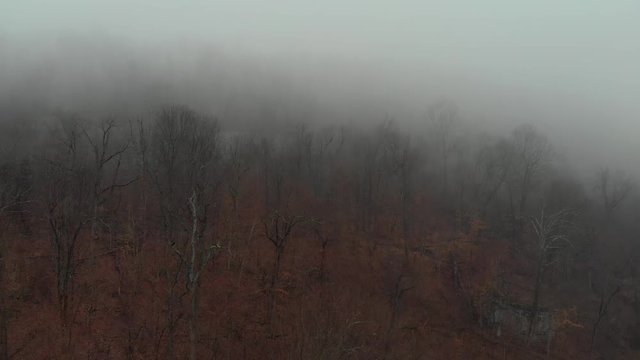 Aerial of Cold Wet Foggy Forest