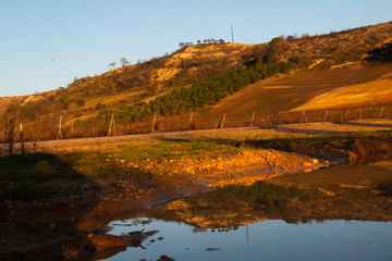 Portugal fields Sierra
