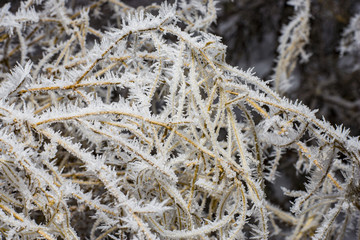 Crystals of snow. Frost on metal in frost