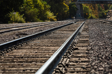 Fototapeta premium Train Tracks