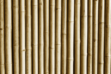 Brown bamboo stick wall. Asian natural jungle fence background.
