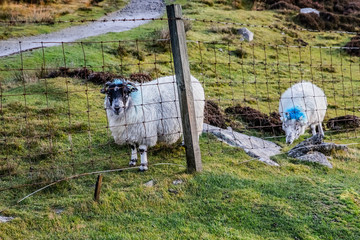 Obraz premium Beautiful View at Hebrides