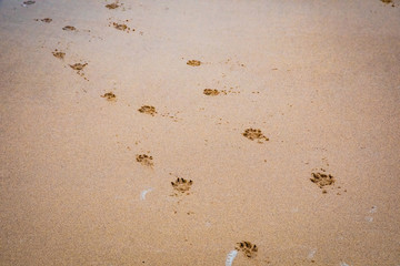 Background beach