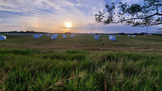View of hay bales on a pasture field during a beautiful sunrise