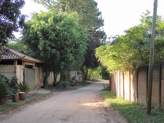 Road in rural area. Interior of Brazil