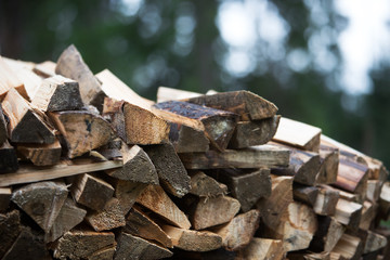 pile of wooden logs in the forest